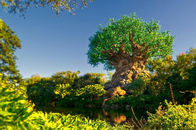 Disney'S Riviera Resort レイク・ブエナ・ビスタ エクステリア 写真